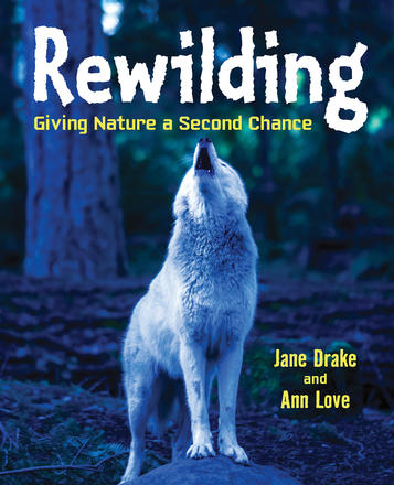 Rewilding - Giving Nature a Second Chance